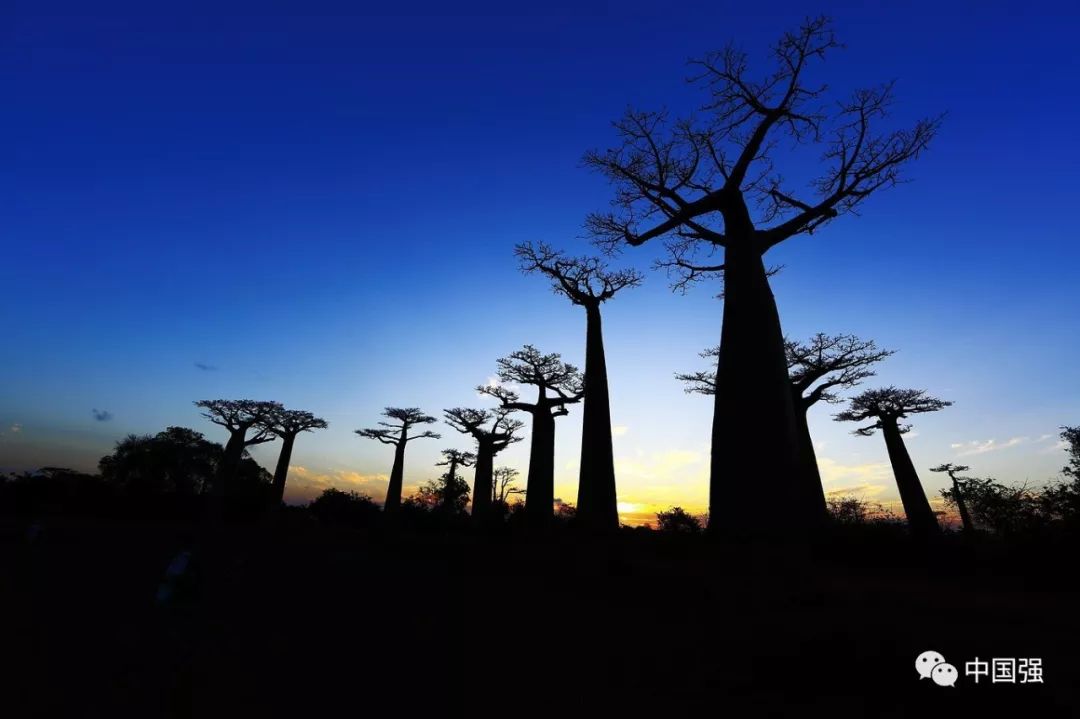 马达加斯加不可思议的旅行,马达加斯加自然景观