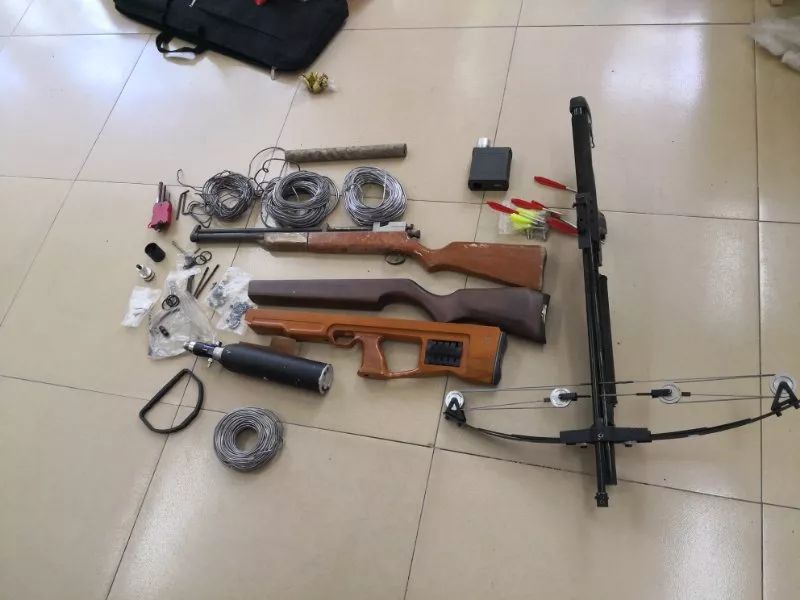 “有母鸡！还要鸡蛋不？”这竟是非法买卖时的交流术语