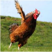 工资为啥一般不是1号发,工资是31号发的还是1号发的