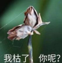 工资为啥一般不是1号发,工资是31号发的还是1号发的