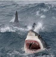 工资为啥一般不是1号发,工资是31号发的还是1号发的