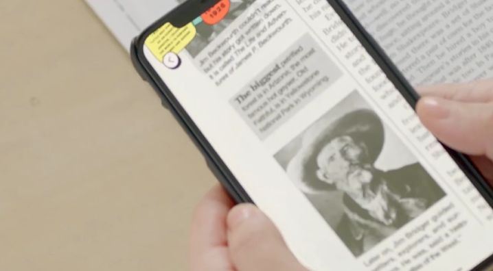 戛纳广告创意节,戛纳国际创意节户外奖