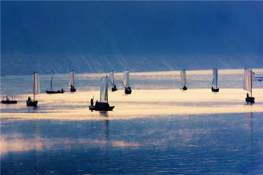 又挖到个21℃的清凉山城，还藏着人均¥300+就能入住的浙南“小星野”，仅限200套
