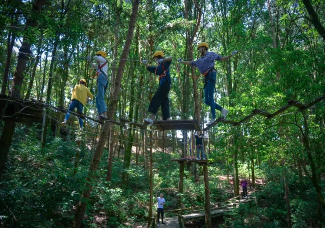 又挖到个21℃的清凉山城，还藏着人均¥300+就能入住的浙南“小星野”，仅限200套