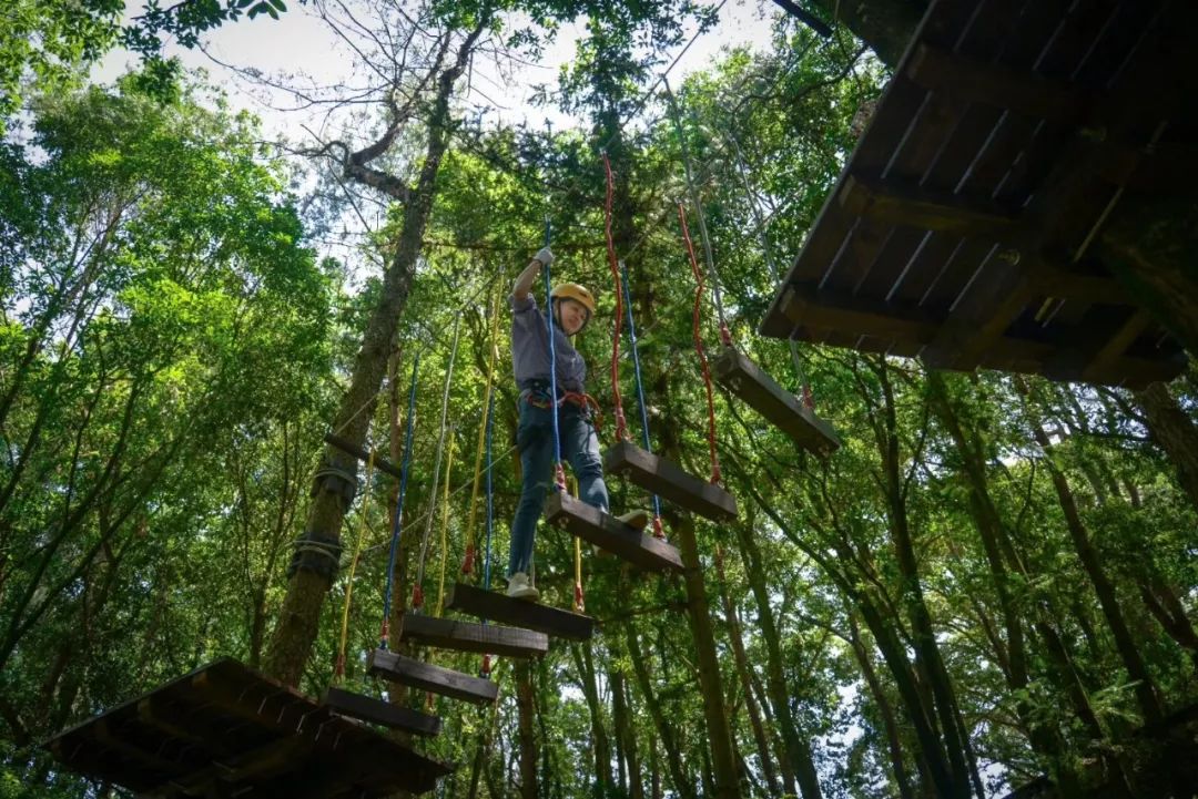 又挖到个21℃的清凉山城，还藏着人均¥300+就能入住的浙南“小星野”，仅限200套