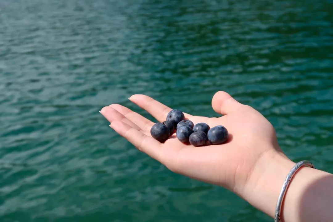 又挖到个21℃的清凉山城，还藏着人均¥300+就能入住的浙南“小星野”，仅限200套