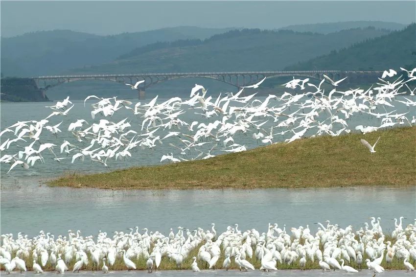 又挖到个21℃的清凉山城，还藏着人均¥300+就能入住的浙南“小星野”，仅限200套