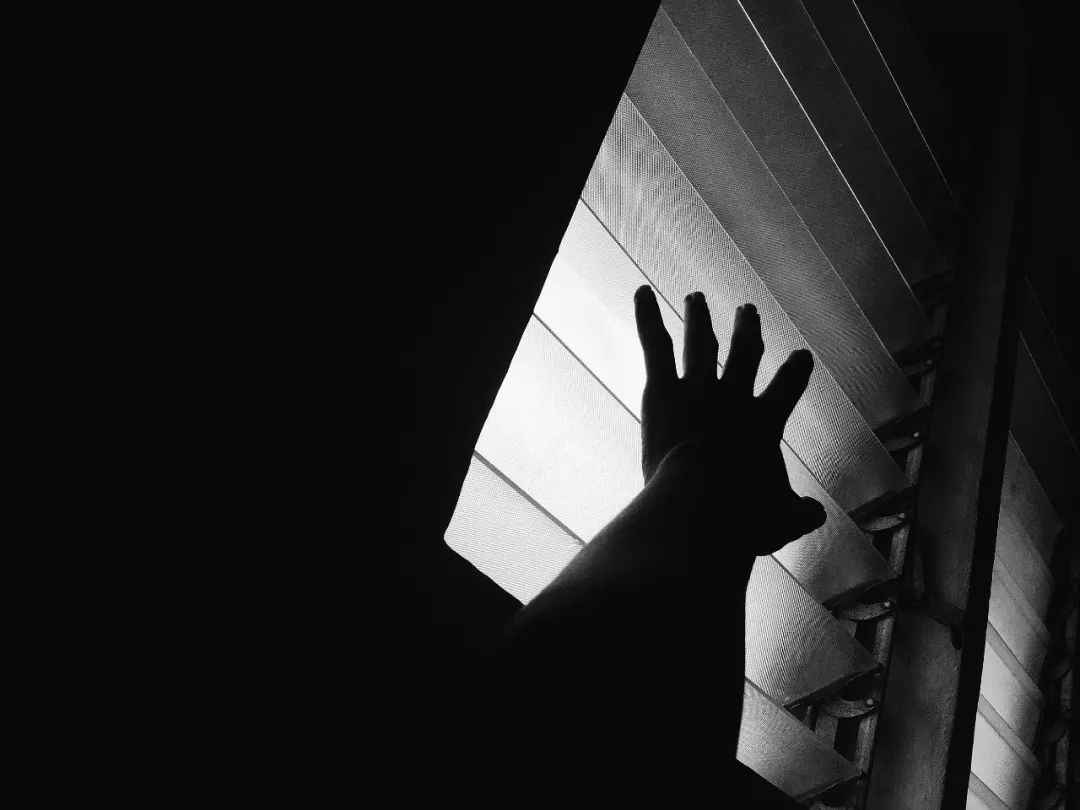 董事长性侵女孩事件最新进展,董事长性侵女孩事件