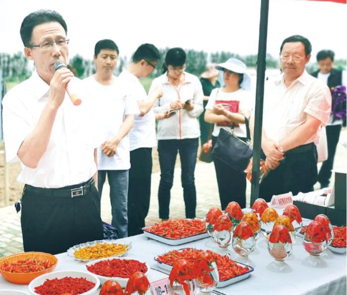 宁夏枸杞产业发展现状,宁夏枸杞产业发展现状与对策