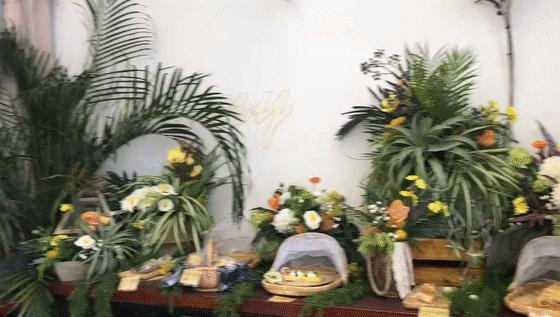 开到你梦里的超嗲少女店，西安就1家