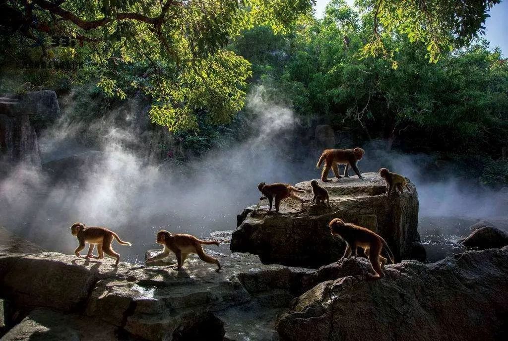 关于海岛的纪录片,探索海岛纪录片