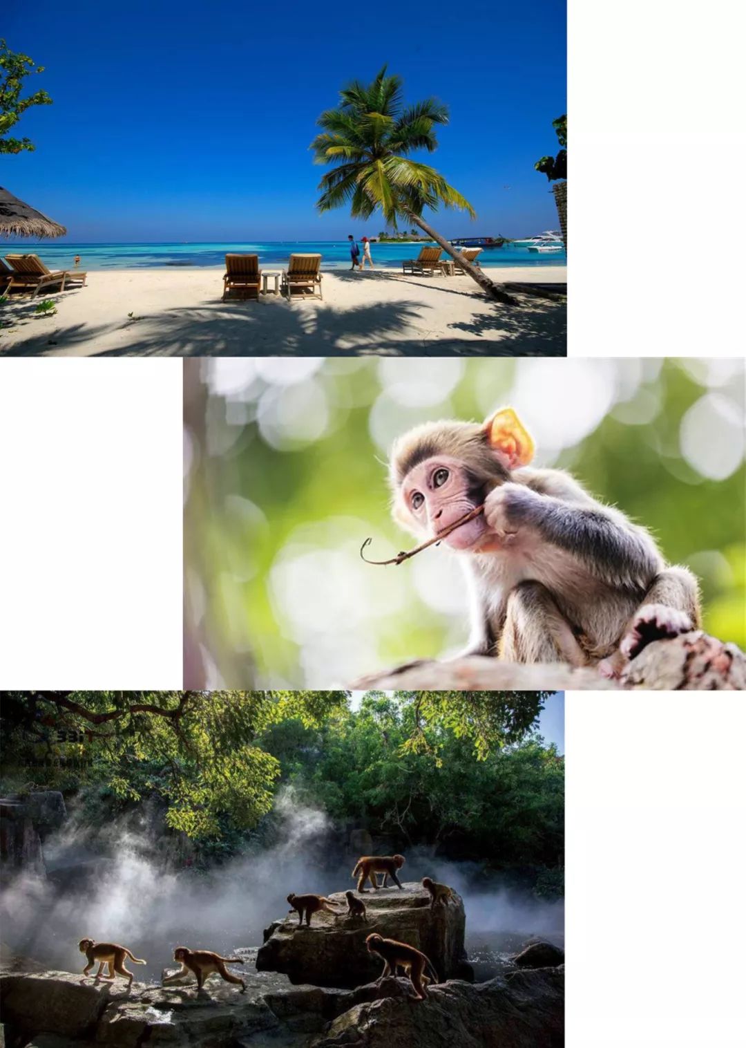 关于海岛的纪录片,探索海岛纪录片