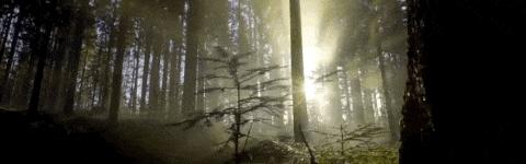 关于海岛的纪录片,探索海岛纪录片