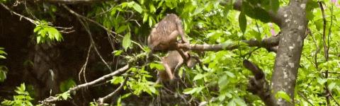 关于海岛的纪录片,探索海岛纪录片