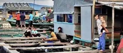 关于海岛的纪录片,探索海岛纪录片