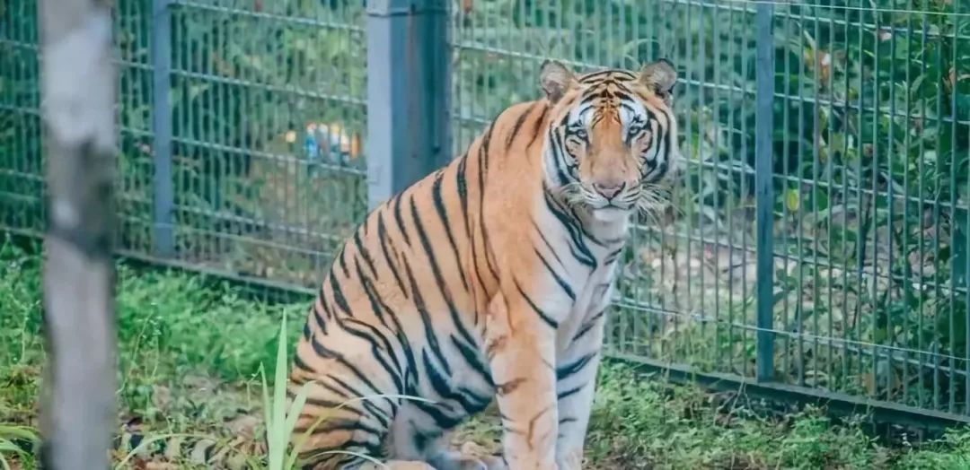 亲子乐园玩嗨全场,亲子游玩一天之内玩过瘾