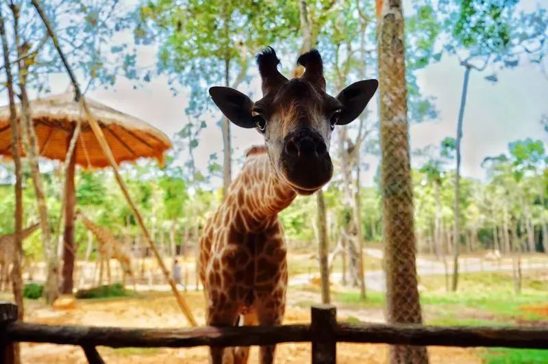 亲子乐园玩嗨全场,亲子游玩一天之内玩过瘾