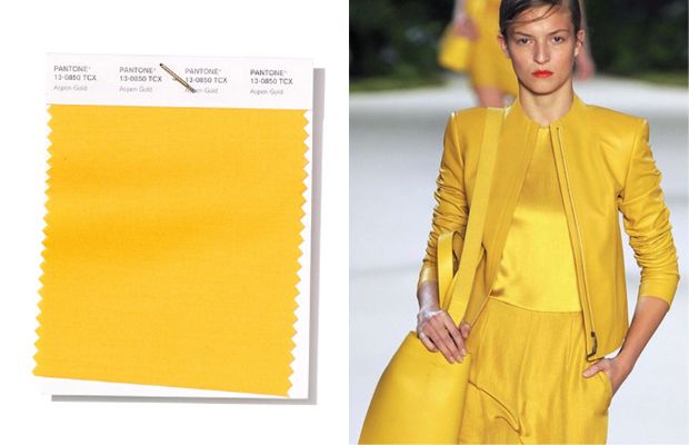 紫色和牛油果色哪个好看,牛油果绿和雾霾蓝哪个颜色好看