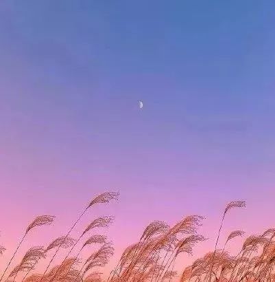 荐读|一个人的竞争力，多半来自这四种品质