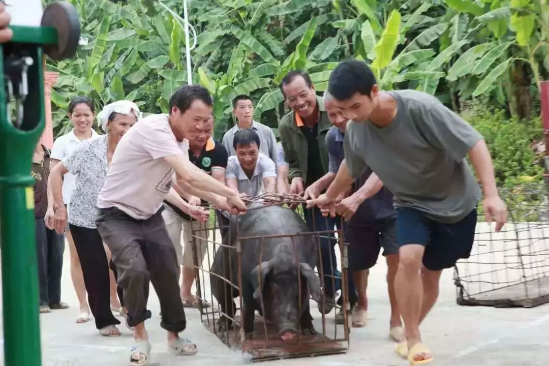 关注|千里之外，这件超有爱的事，有你更好！