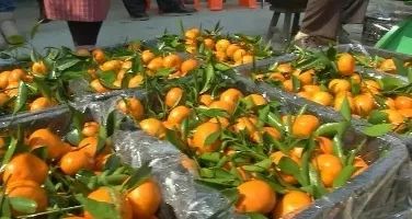 关注|千里之外，这件超有爱的事，有你更好！