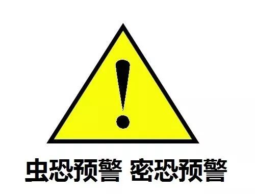 见到灯光乱飞的大虫子,见到光就飞过来的虫子怎么去除