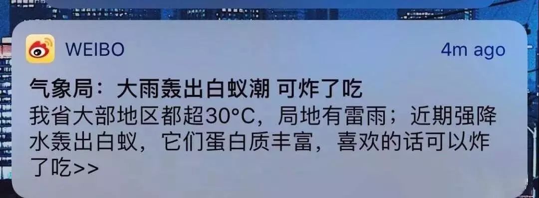 见到灯光乱飞的大虫子,见到光就飞过来的虫子怎么去除