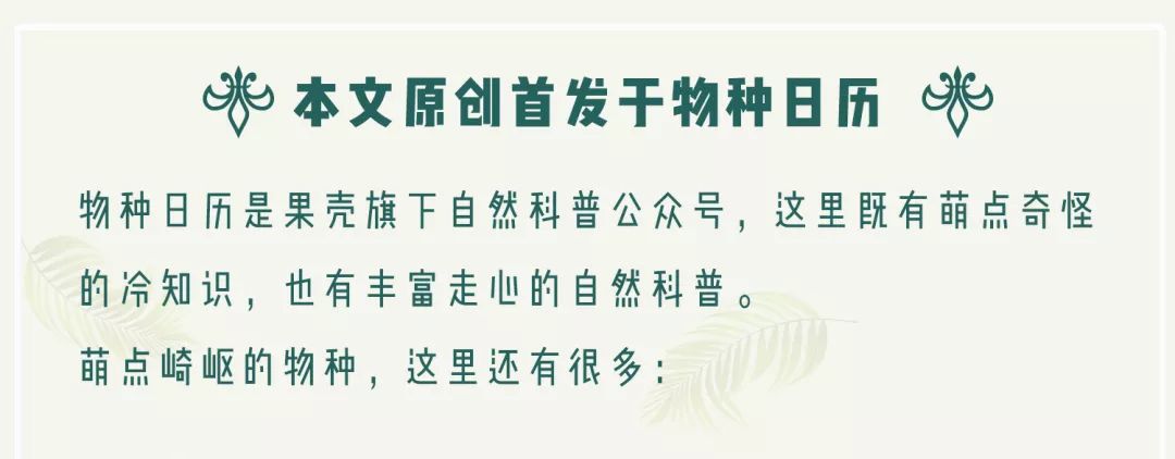 见到灯光乱飞的大虫子,见到光就飞过来的虫子怎么去除