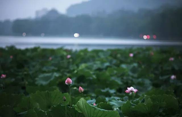 梦不回,梦不回歌词