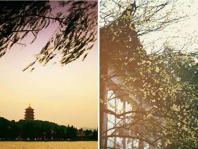 梦不回,梦不回歌词