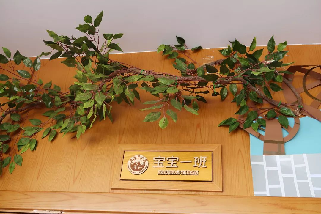 丽江五大民办幼儿园,丽江幼儿园推荐