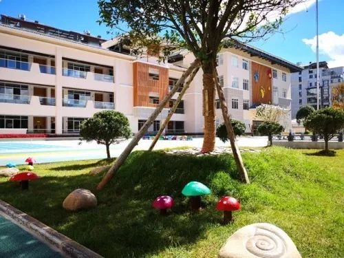 丽江五大民办幼儿园,丽江幼儿园推荐