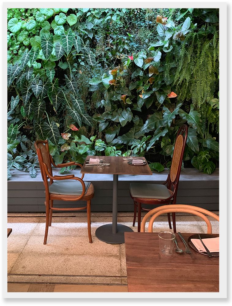 上海小南门探店,上海探店吃到白冰吃过的芝士