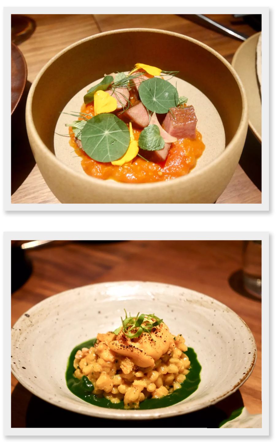 上海小南门探店,上海探店吃到白冰吃过的芝士