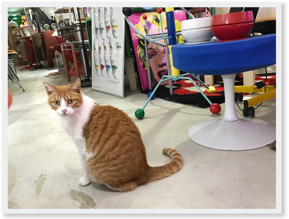 上海小南门探店,上海探店吃到白冰吃过的芝士