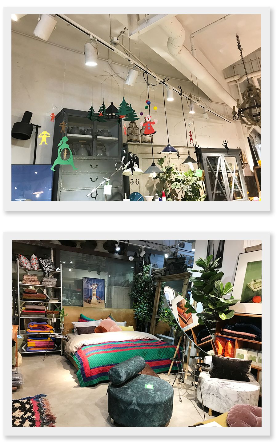 上海小南门探店,上海探店吃到白冰吃过的芝士