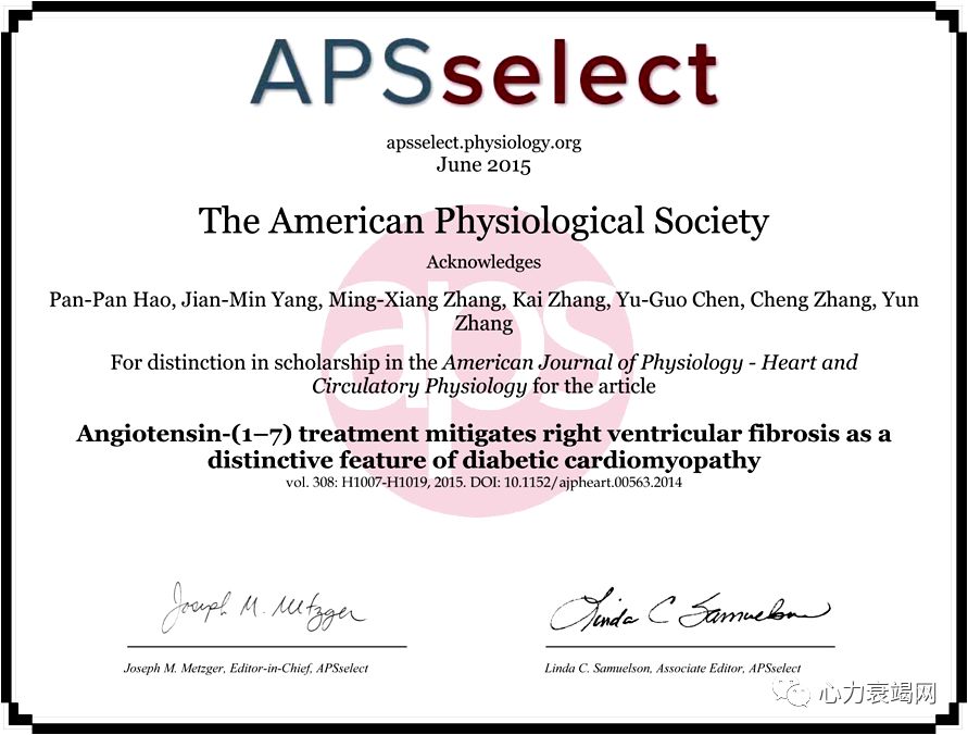 「2019CIHFC」张运教授：ADAM17—糖尿病性心肌病干预的新靶点