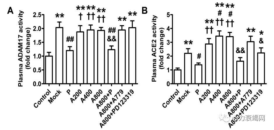 「2019CIHFC」张运教授：ADAM17—糖尿病性心肌病干预的新靶点