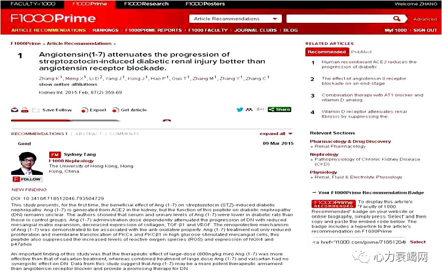 「2019CIHFC」张运教授：ADAM17—糖尿病性心肌病干预的新靶点