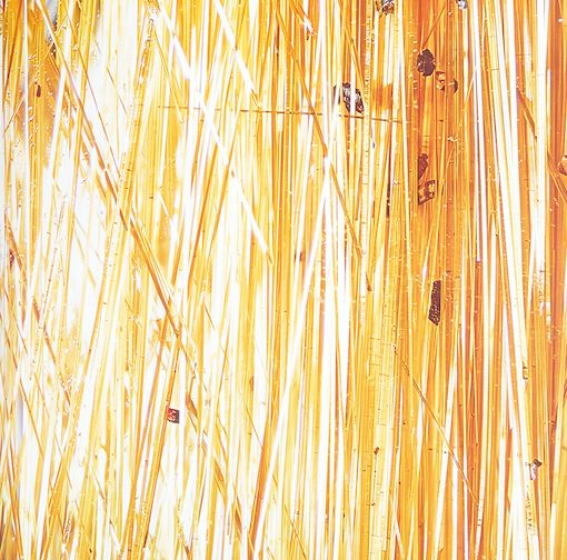 卡地亚经典系列介绍大全,卡地亚终极版