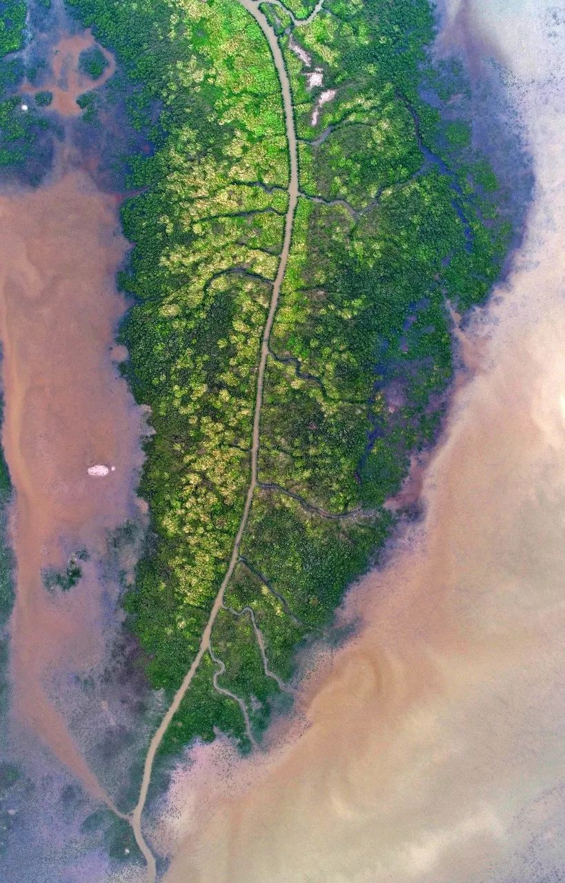 江苏的世界遗产旅游景区,江苏哪些地方被列入世界文化遗产