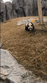 丽江永胜药店招聘,招聘信息最新招聘丽江销售