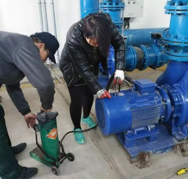 农村有哪些扶持项目,现在国家扶持的农村项目都有哪些