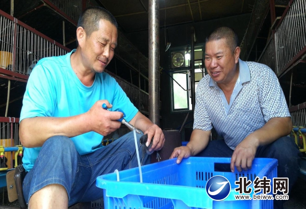 巩固脱贫成果与乡村振兴有效衔接,巩固脱贫成果同乡村振兴相衔接