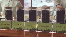 在外交部蓝厅,短短几小时,福建在全球圈粉无数