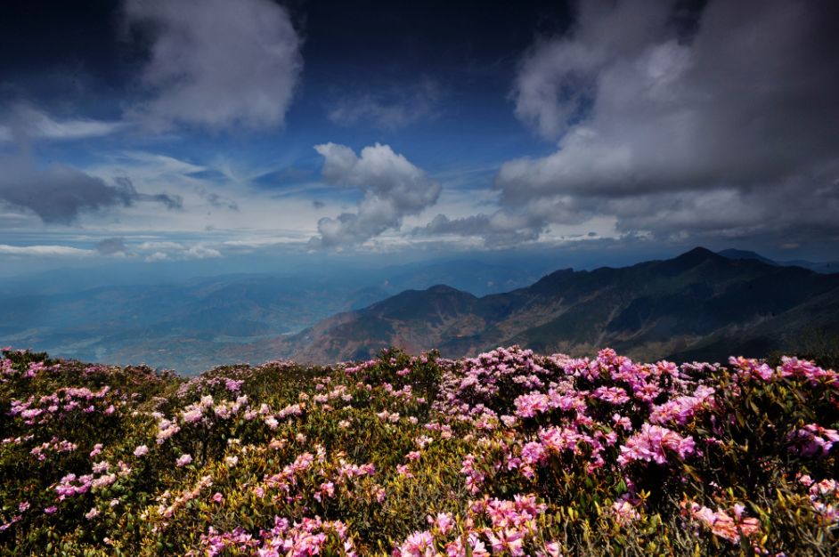 千年古城|不去会理，不知古城之大美！