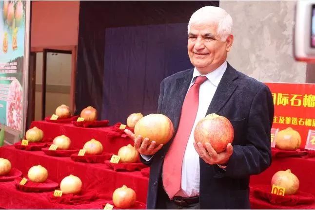 千年古城|不去会理，不知古城之大美！