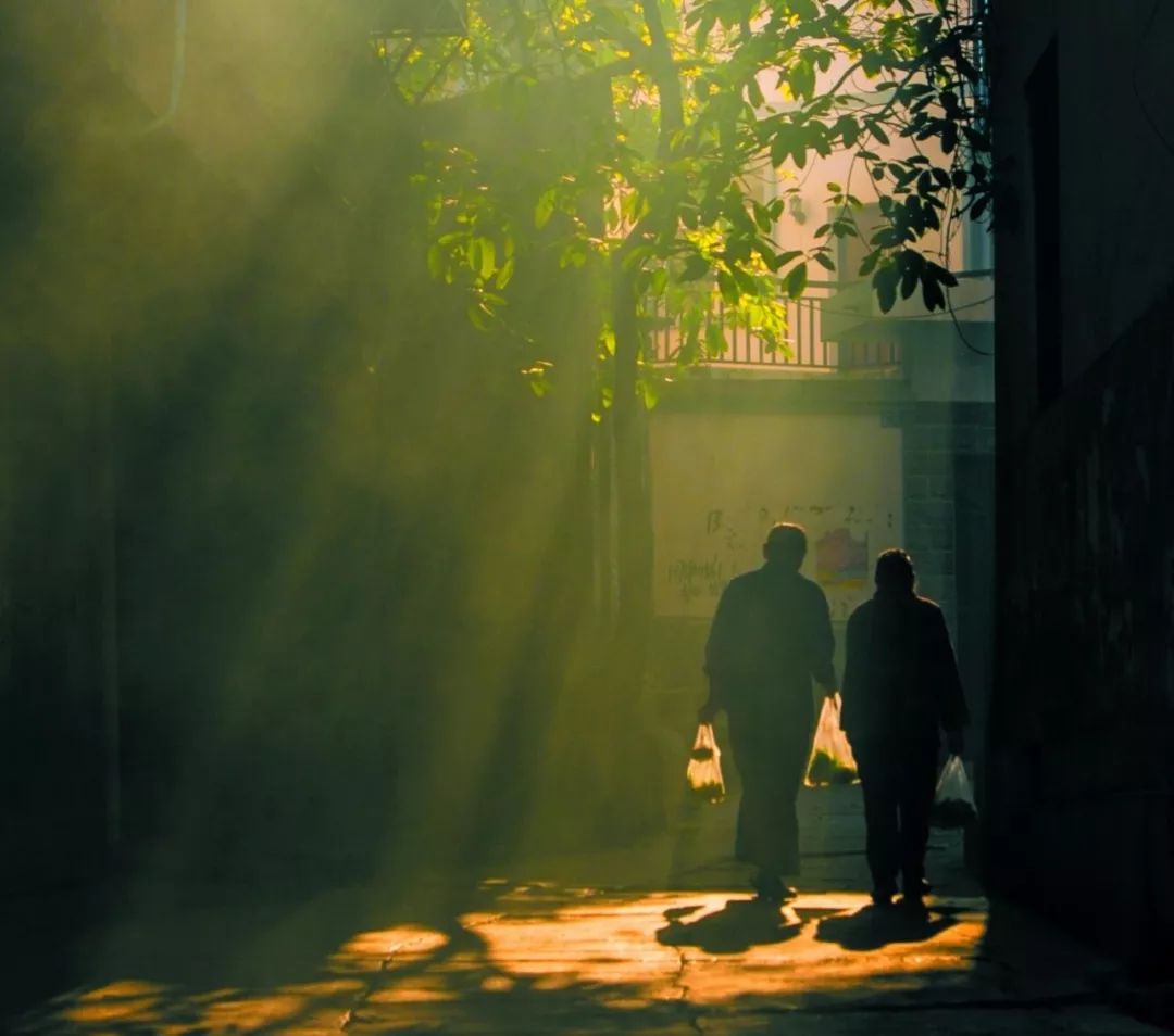 什么叫孝最好的答案,孝在生活中阅读及答案