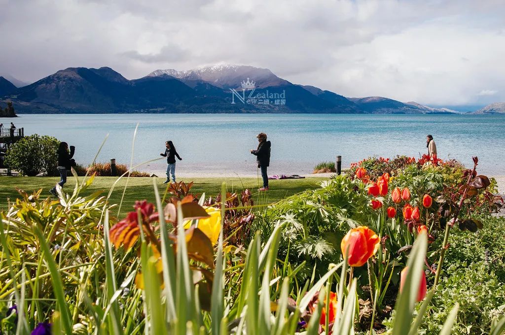 定了！新西兰7月起开征“旅游税”！这个被《哈利波特》《碟中谍》选中的地方到底有多好玩