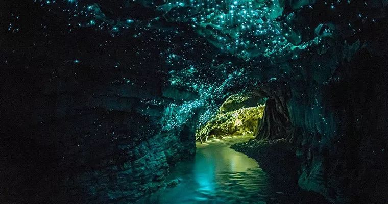 定了！新西兰7月起开征“旅游税”！这个被《哈利波特》《碟中谍》选中的地方到底有多好玩